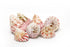strawberry trochus cone shells
